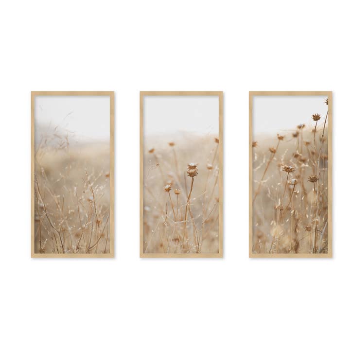 Ready2hangart, Inc. - Wholesale Wall Art Set - "winter thistle" Set of Three Framed Textured Wall Art