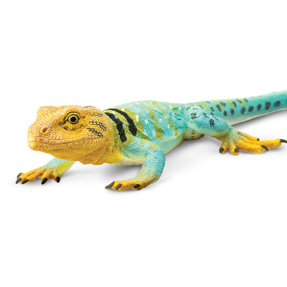 Safari Ltd. - Wholesale Figurine Toy - Kids - Collared Lizard - 2710294