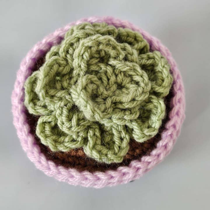 TOMOPOD LLC - Wholesale Decorative Tabletop Object - Crochet Small Succulent in Lavender Pot, Office Desk Decor1