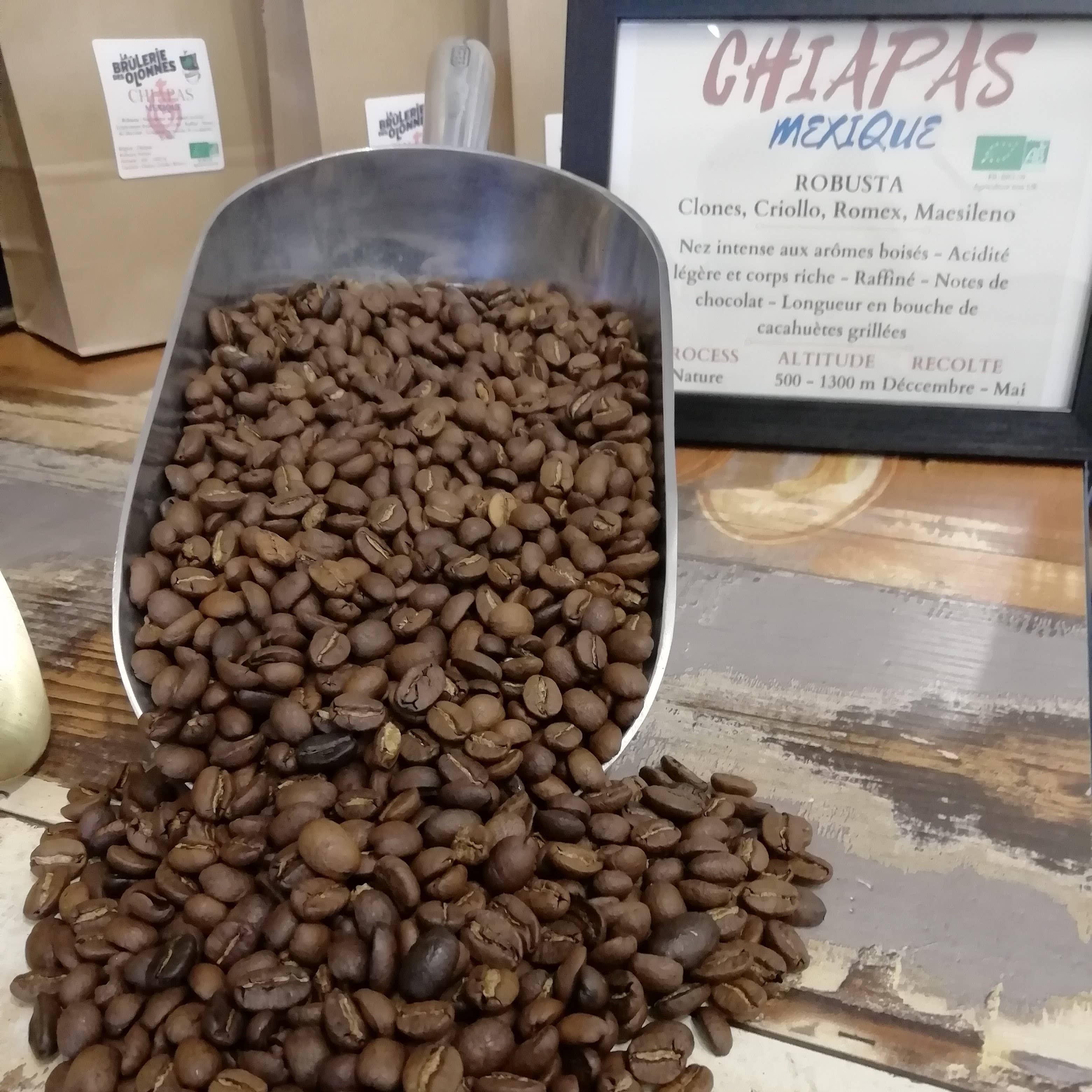 La Brûlerie Des Olonnes - Wholesale Coffee Beans - Mexico - Chiapas Organic - Robusta - 1 kg Ground2
