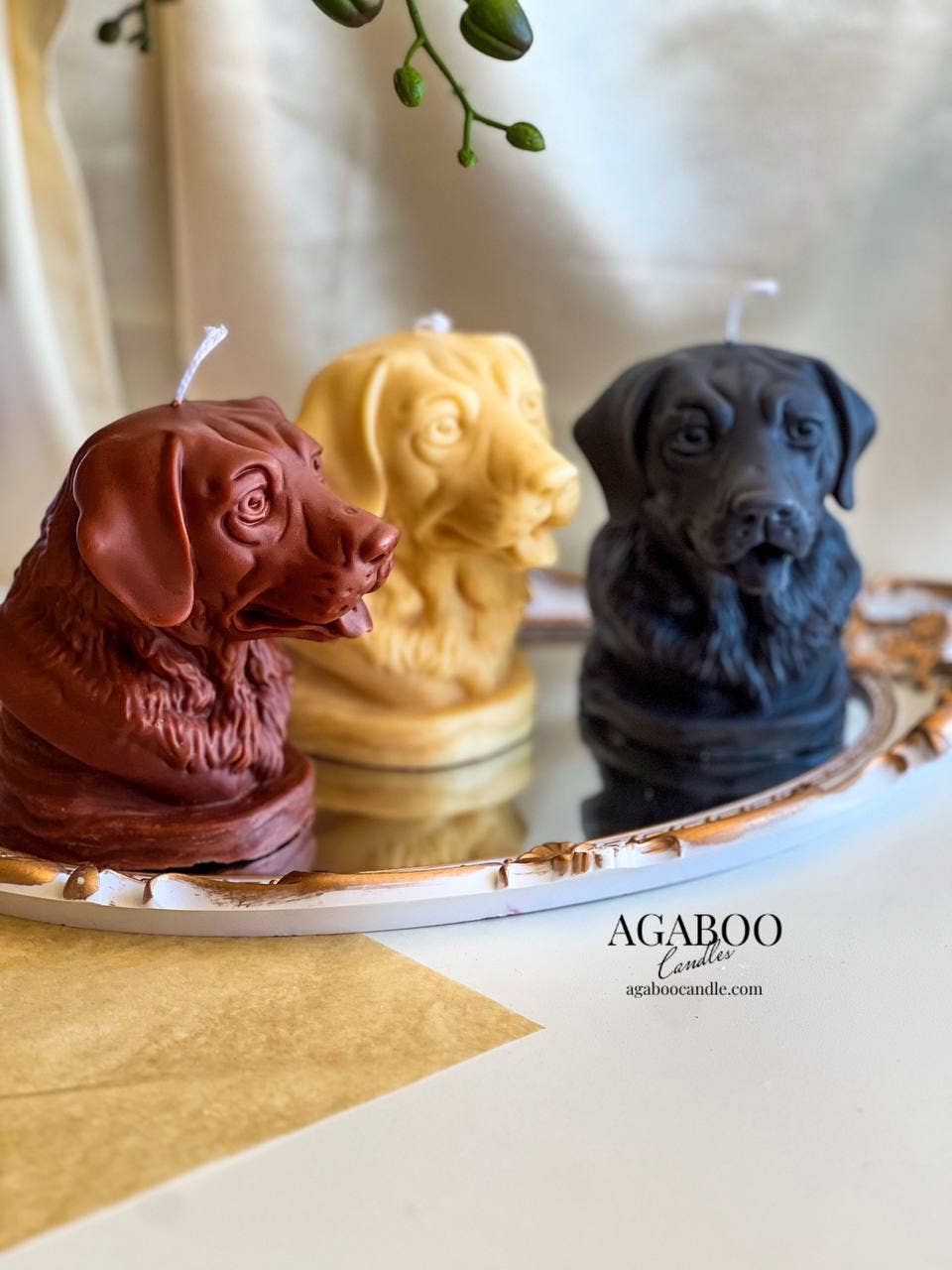 Agaboo Candle - Vente Bougies originales - Jolie bougie en forme de tête de chien 4,5 x 4 po - Animaux6