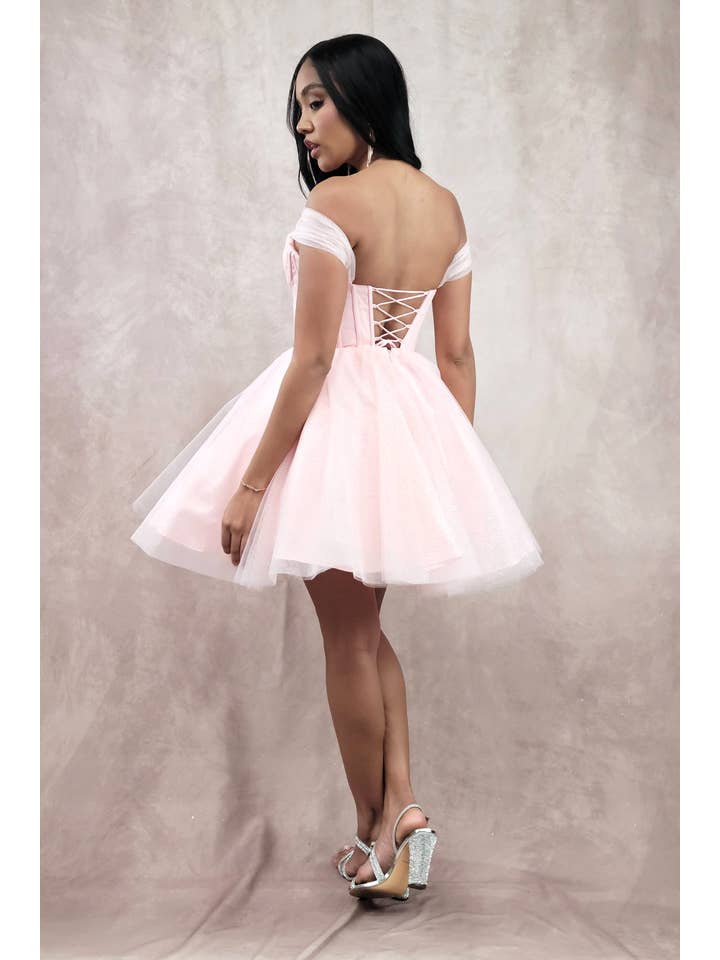 Chicas - Wholesale Dress - Women's - Short Off The Shoulder Tulle Dress With Brooch16