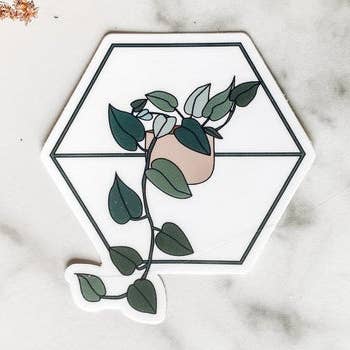 Pothos in Hexagon Planter Sticker - Dishwasher Safe for wholesale by Kara Eads Creates
