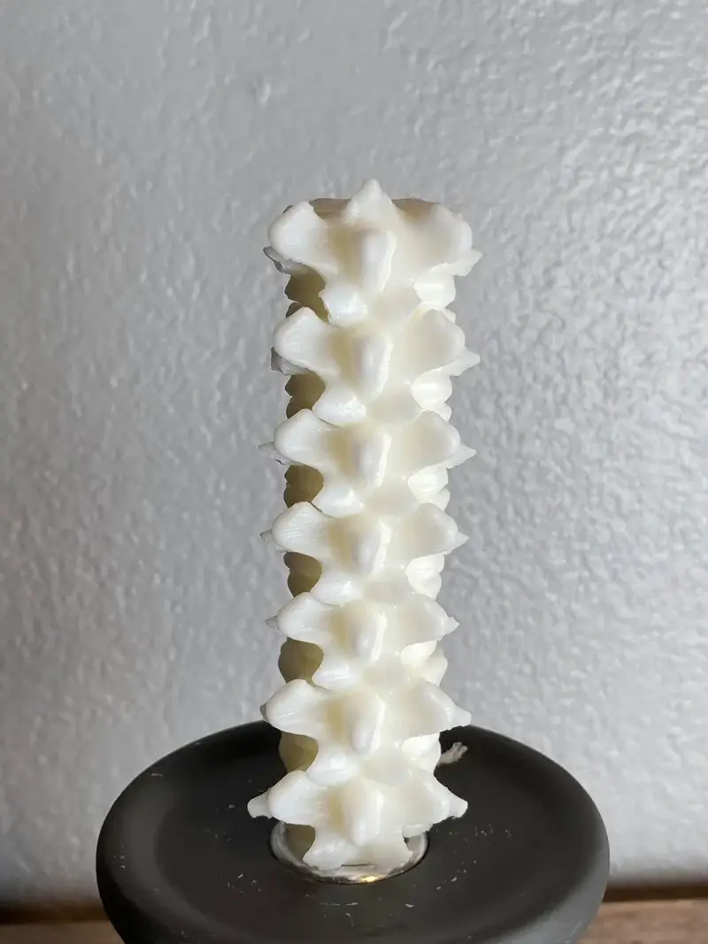 Susan Schomigs Creations - Vente Bougies originales - Petite bougie Spine1