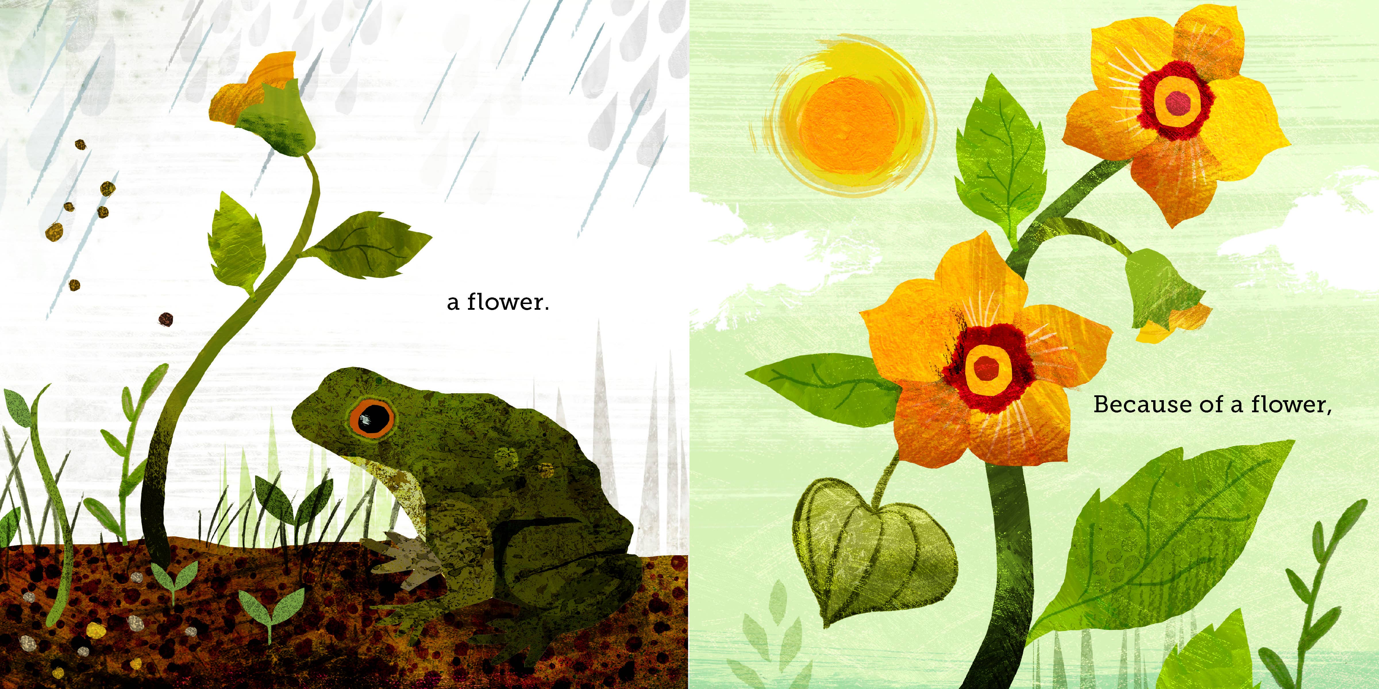 Chronicle Books - Wholesale Preschool Book (3-5) - Because of an Acorn7