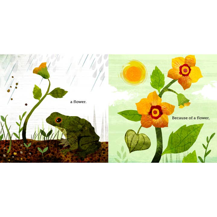 Chronicle Books - Wholesale Preschool Book (3-5) - Because of an Acorn7