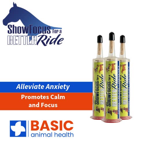 ShowFocus for a BetterRide Gel for Horses - 3 Pack for wholesale by Basic Animal Health