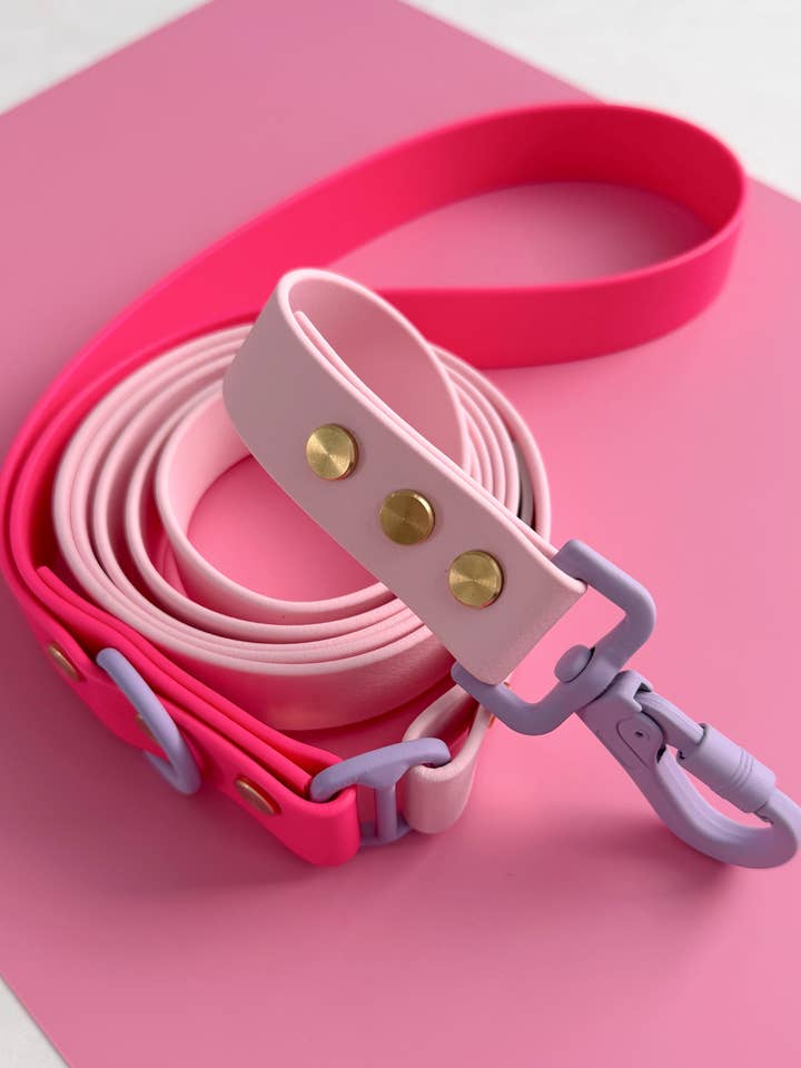 WATERPROOF DOG LEASH - SWEET PAWS - PAWFECTION for wholesale by Hund & Shore