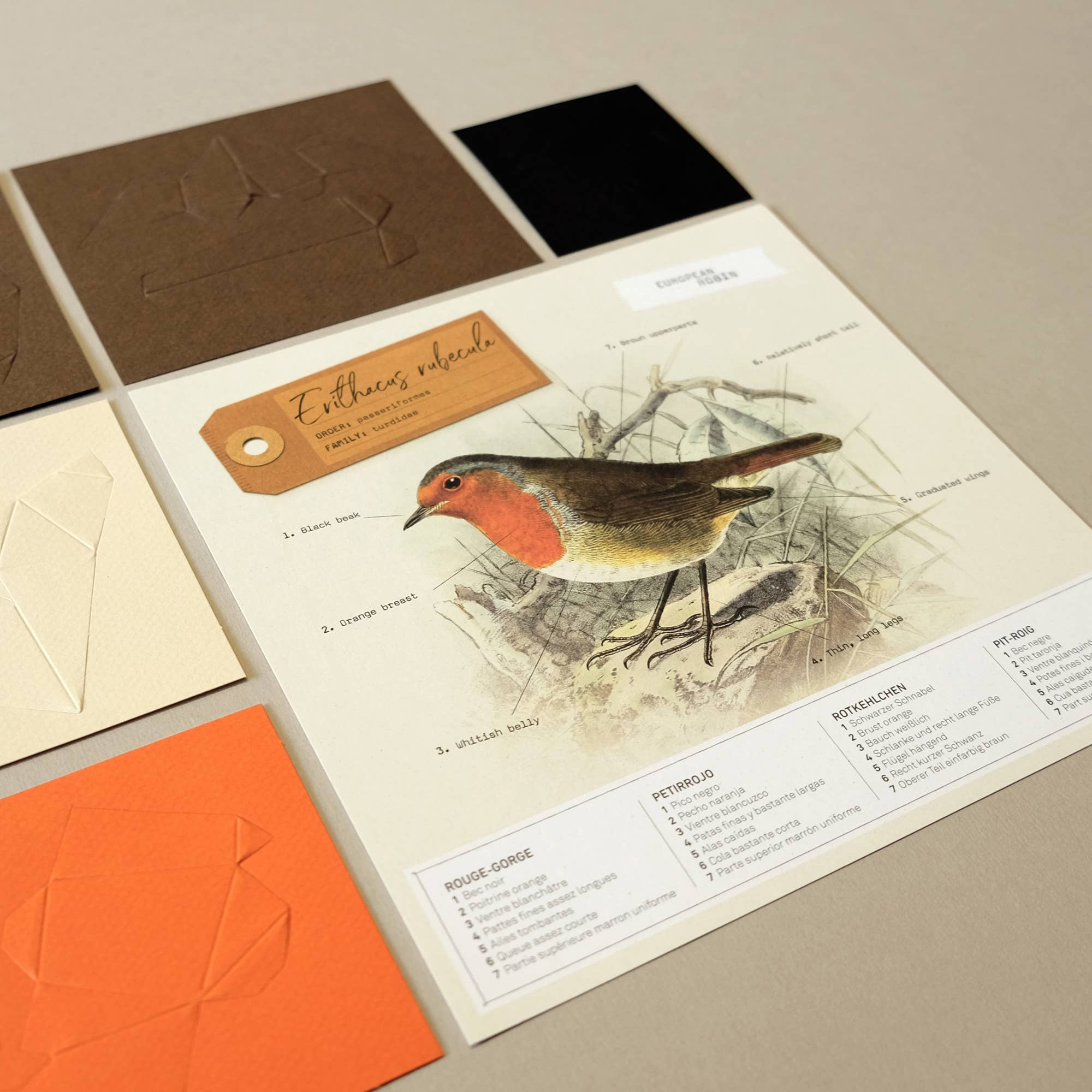 PLEGO - Wholesale DIY Craft Kit - ERITHACUS RUBECULA - paper bird2
