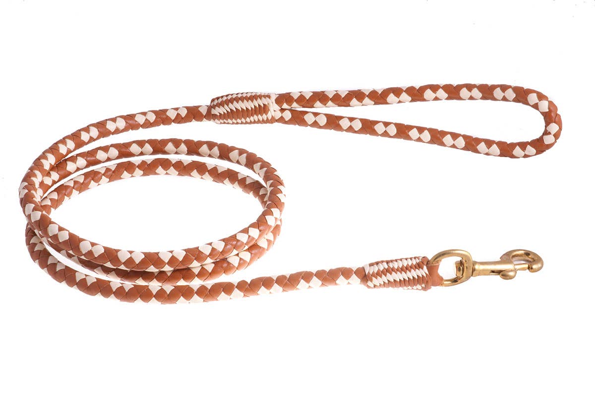 Alvalley - Wholesale Pet Leash - Dog - Braided Leather Snap Leads109