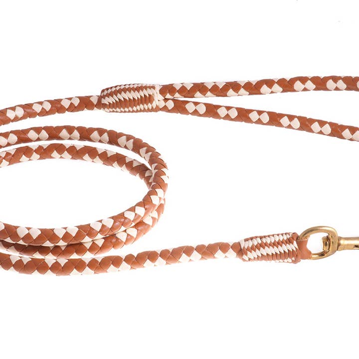 Alvalley - Wholesale Pet Leash - Dog - Braided Leather Snap Leads109