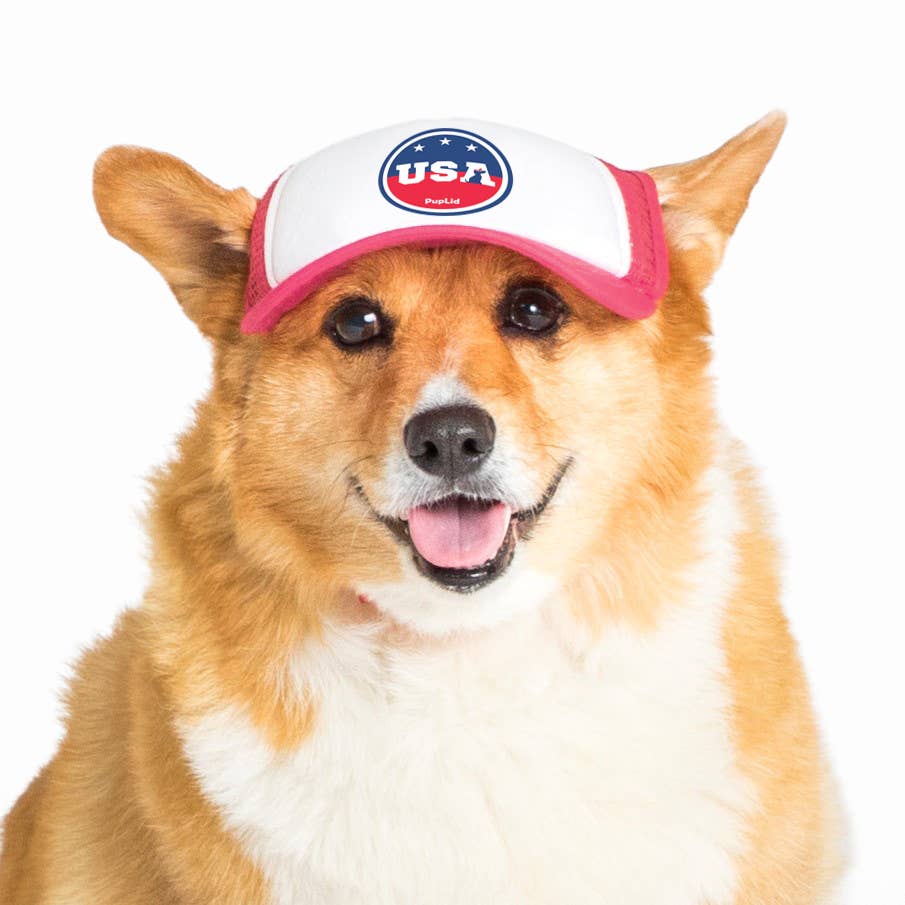 PupLid – wholesale Hatt - Hund – USA Stars Design l Truckerhatt för hundar39