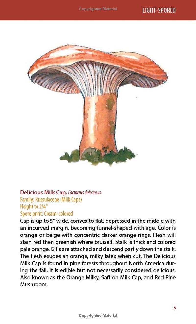 REMOVED BRAND - Wholesale Nature & Outdoors - Mushrooms: A Falcon Field Guide5