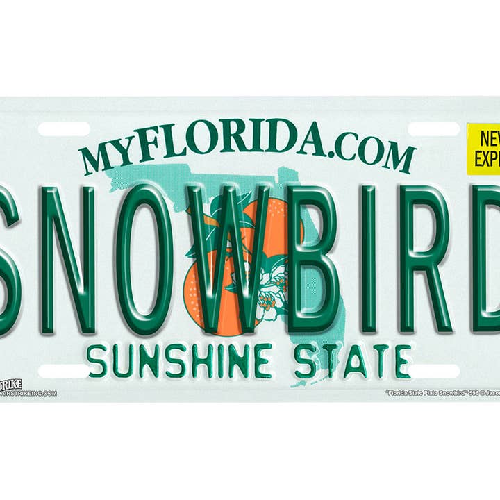 "Florida State Snowbird" - Decorative License Plate for wholesale by Airstrike