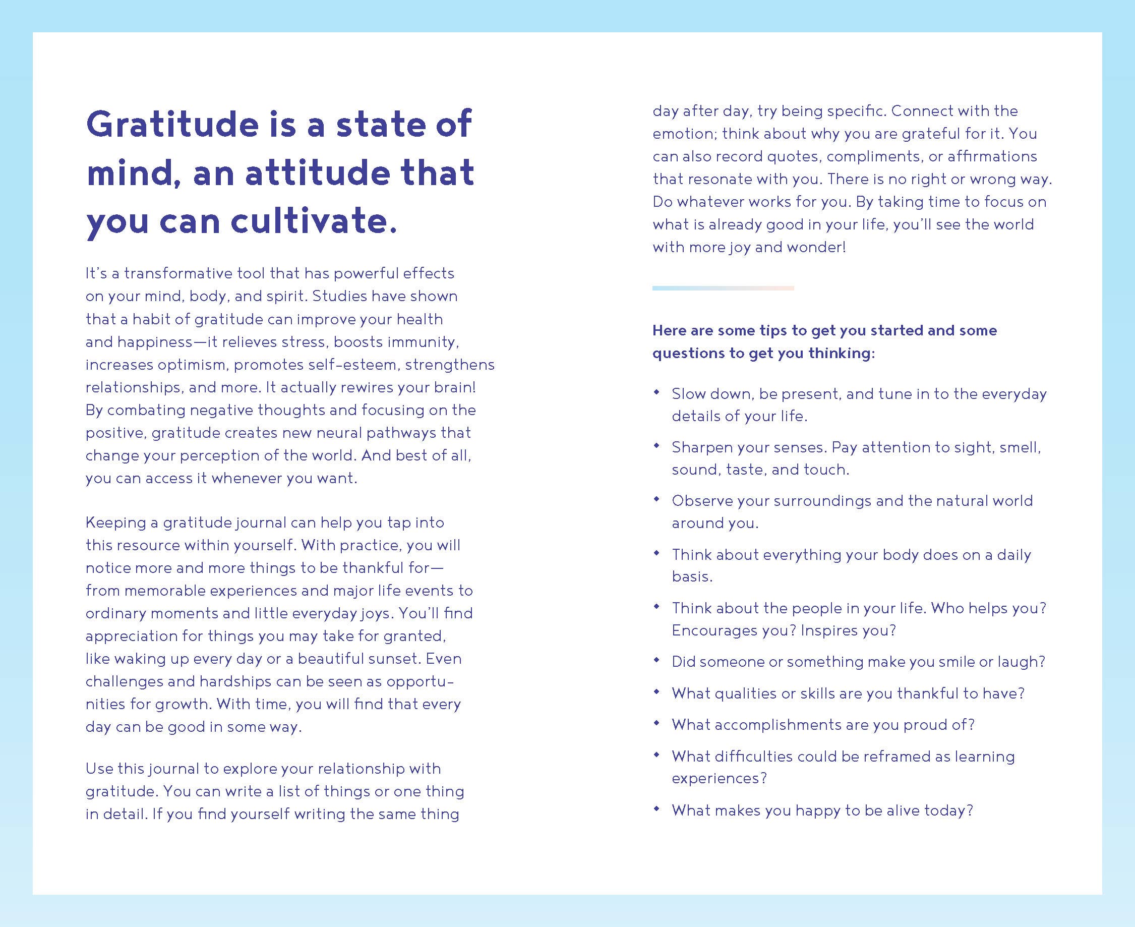 Chronicle Books - Wholesale Journal/Diary - Gratitude One Line a Day2