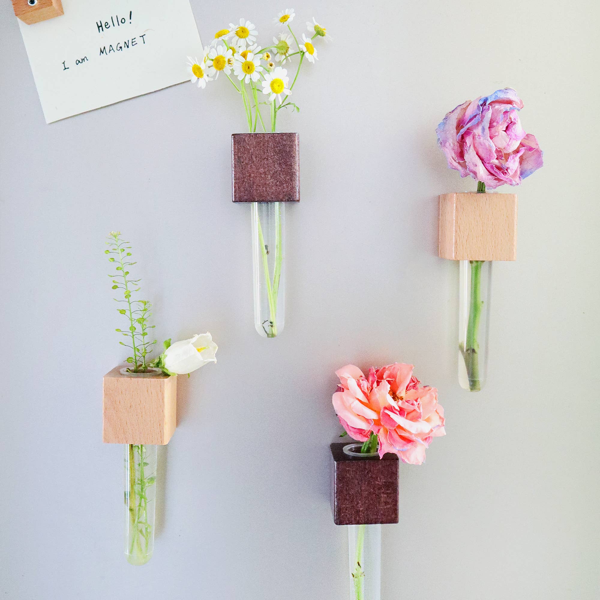 Kitsville - Vendita all'ingrosso Calamite - Mini vasi magnetici – Set di 2 – Magneti decorativi per frigorifero10