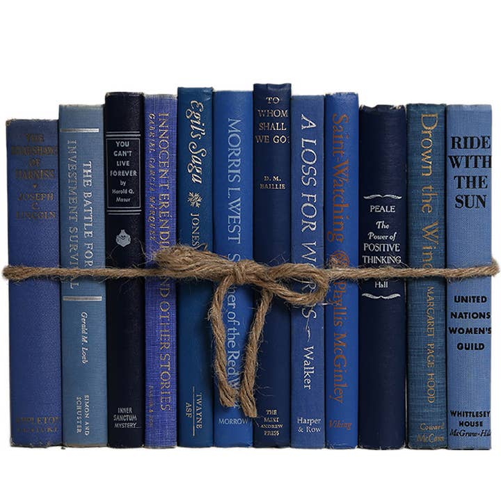 Decorative Blue Book Bundle - Vintage Denim for wholesale by Booth & Williams