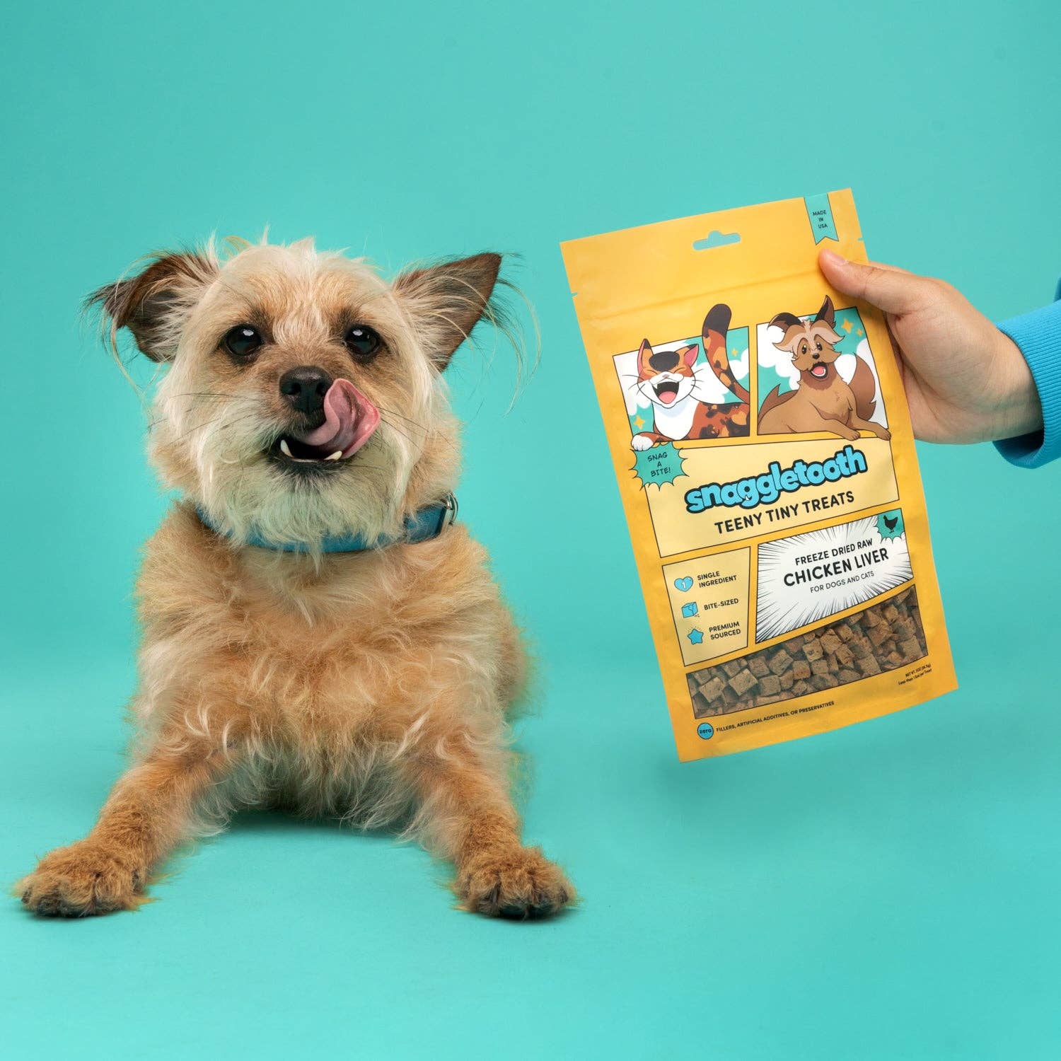 Snaggletooth Pets - Wholesale Pet Treats - Dog - Chicken Liver - Freeze Dried Raw Teeny Tiny Treats4