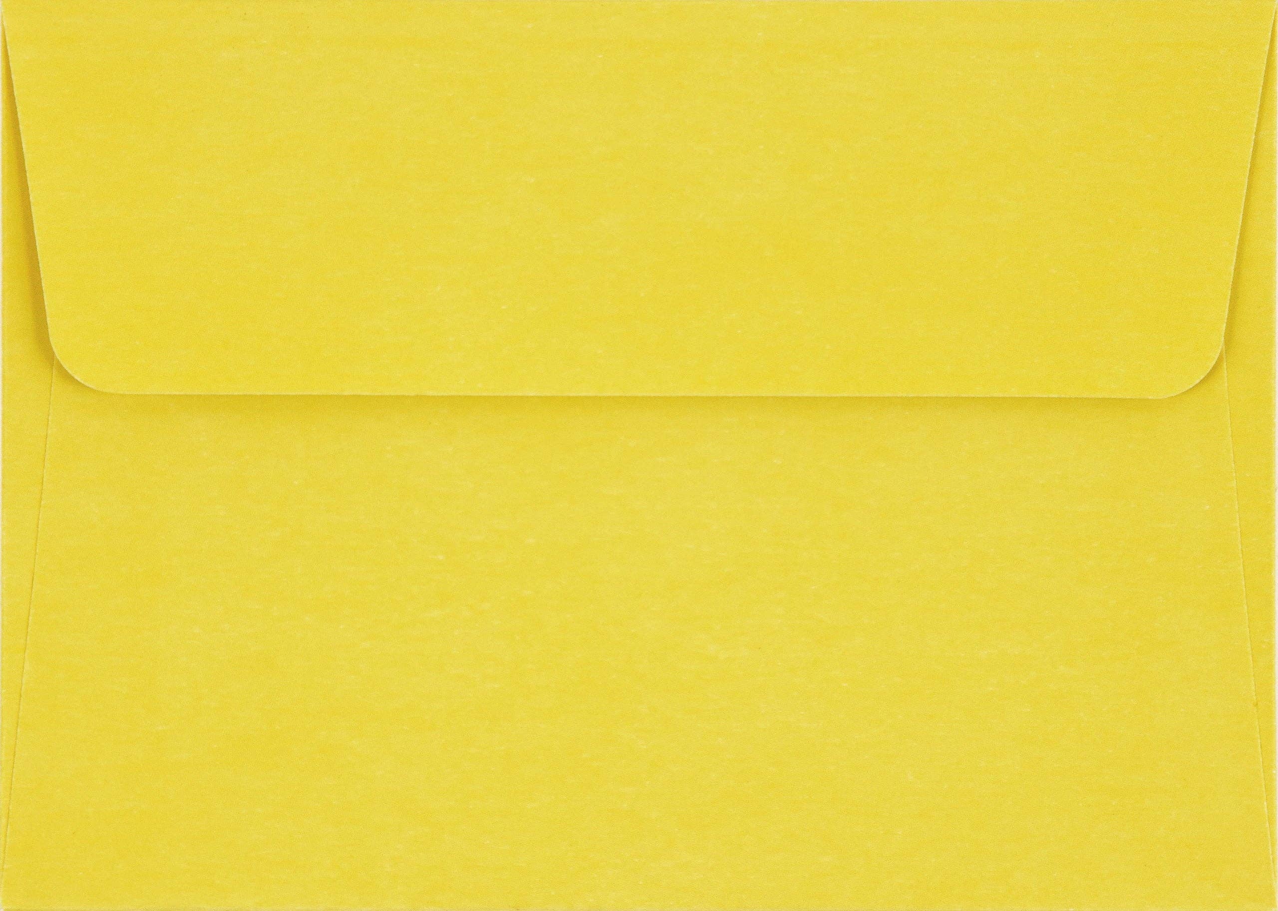 Peter Pauper Press - Vente Assortiments de papeterie/cartes - Cartes de notes Tiffany Citronnier1