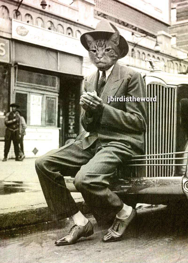 The Wild Oddisorium - Wholesale Art Print - Cool Cat Print0