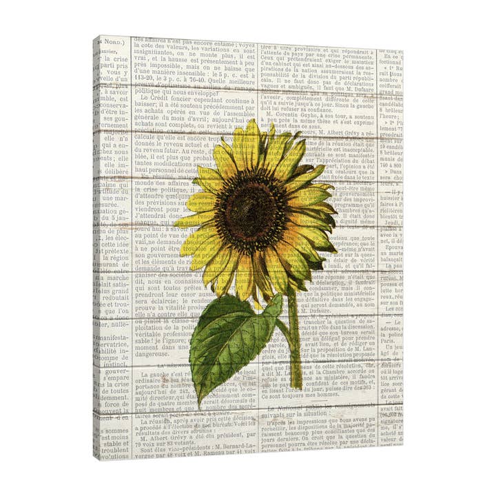 Sunflower Print 2 Gallery Wrapped Canvas for wholesale by Jaxson Rea