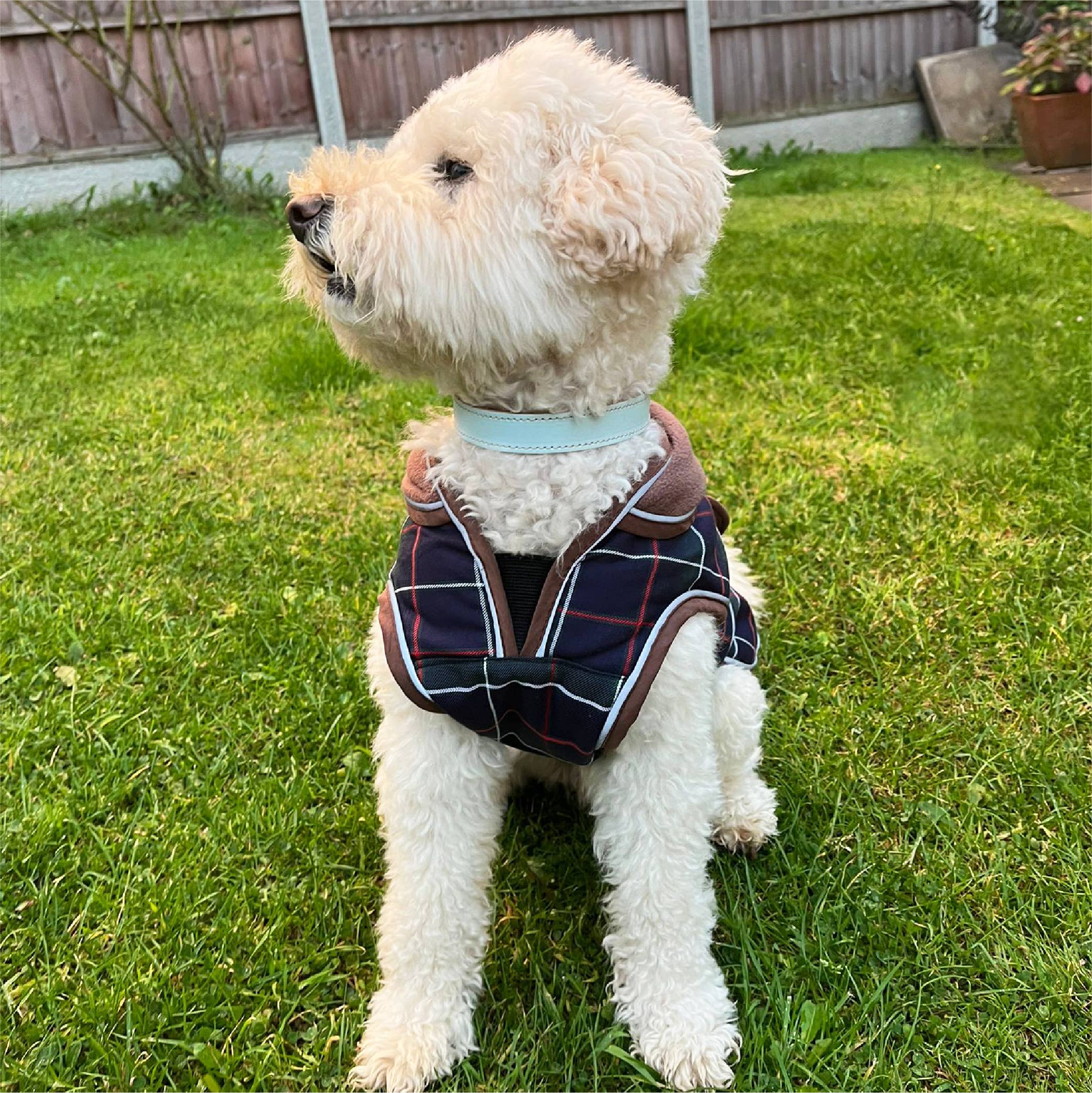 HugglePets – wholesale Pet coat – Dog – HugglePets Legacy Dog Coat Tartan6