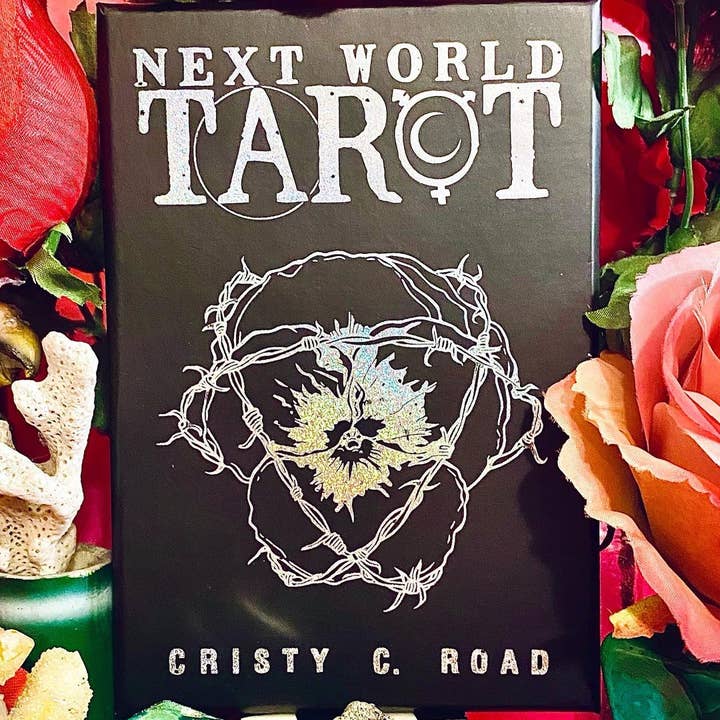 Silver Sprocket - Wholesale Tarot/Oracle Card - Next World Tarot: Pocket Edition by Cristy C. Road6