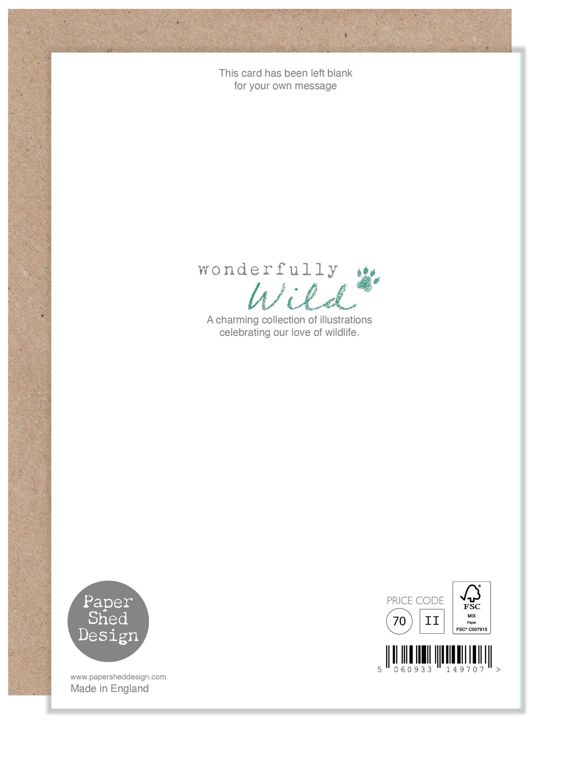 Paper Shed Design Ltd - Wholesale Graduation Card - Graduation Card - Meerkat design - WWE0341