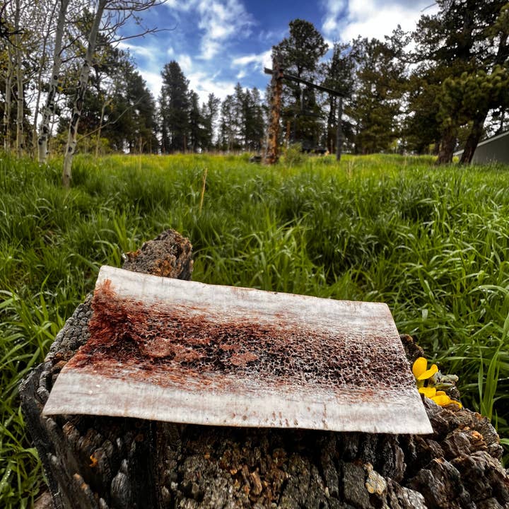 Ruff Country Chews - Wholesale Pet Treats - Dog - Split Elk Antler Chew1