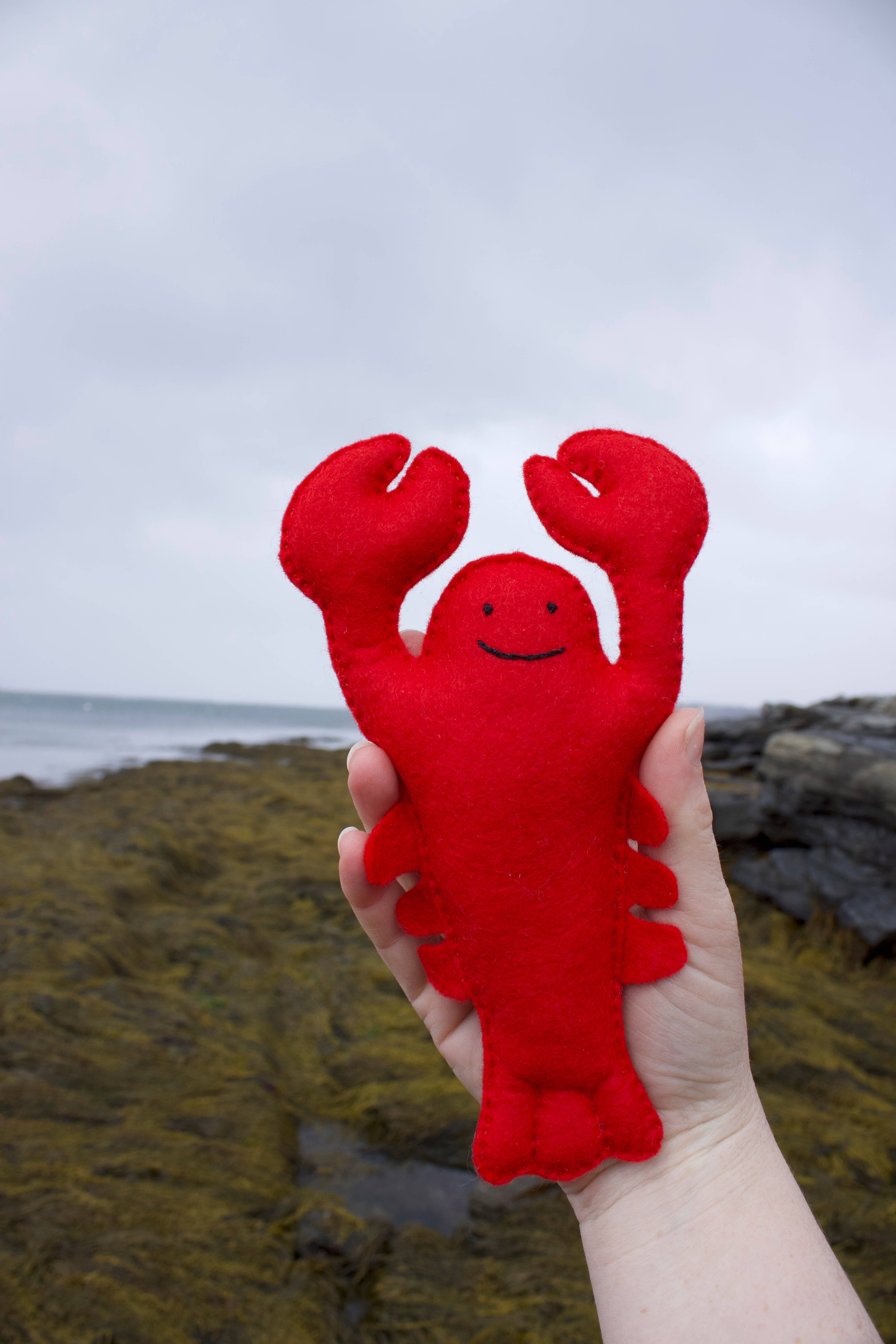 Mimihali - Wholesale Craft Sewing Kit - Lobster and Buoy Wool Felt Sewing Kit – DIY Craft1
