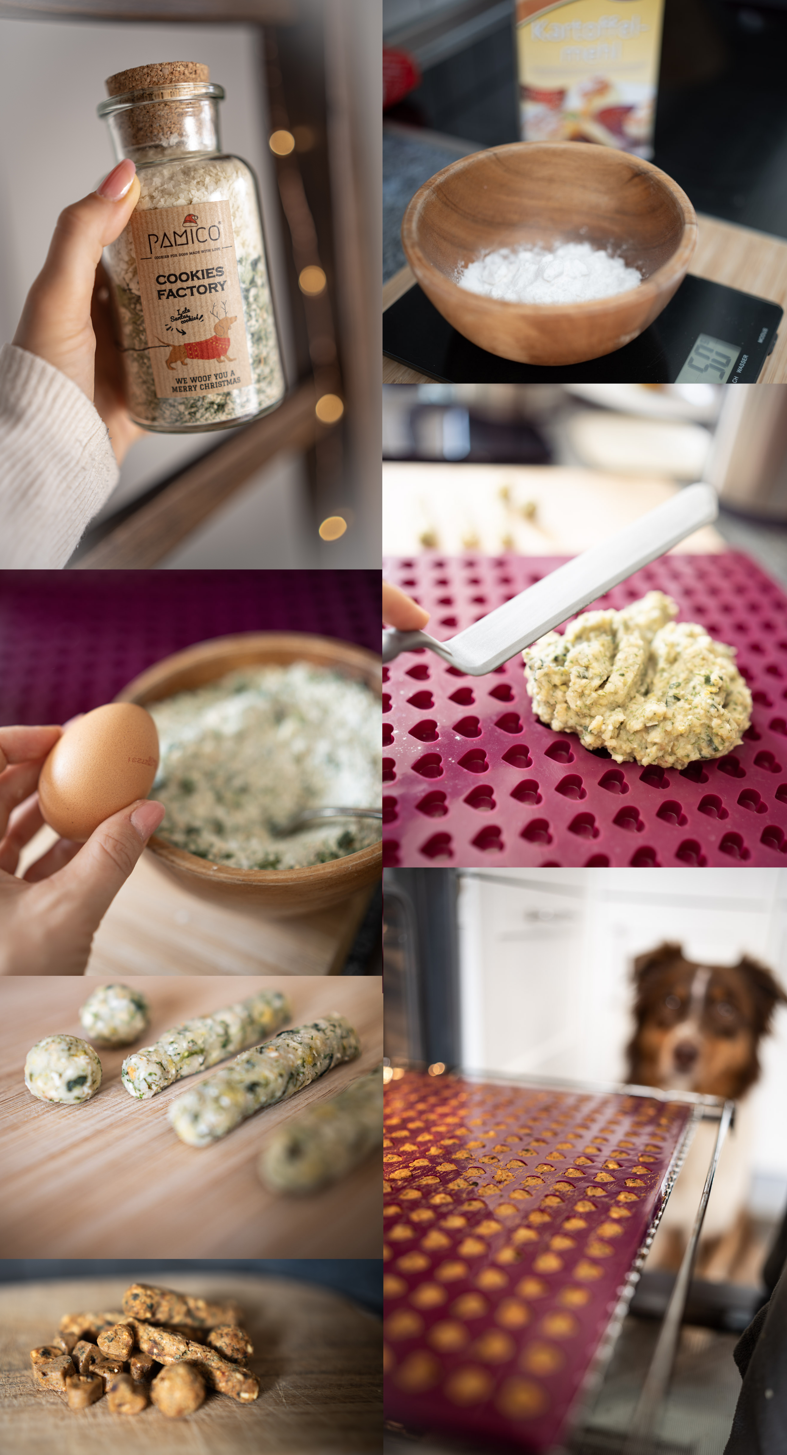 PAMICO - Wholesale Pet Treats - Dog - Cookies Factory baking mix for dog biscuits2