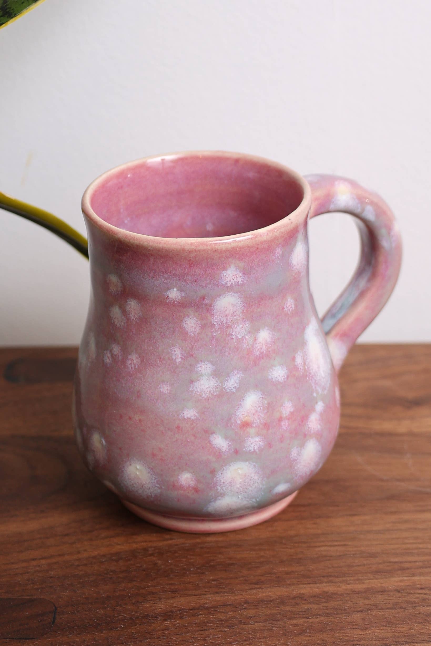 Sawdust and Clay - Wholesale Coffee Mug - Artisan Mugs- Variety Pack15