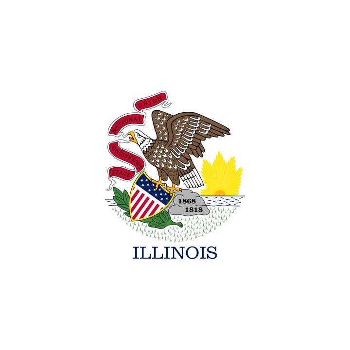 Illinois 5 x 3 pi pour la vente par Worldwide Flags Ltd