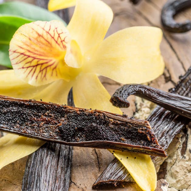 Leur petites bougies - Wholesale Jar/Filled Candle - Vanilla1