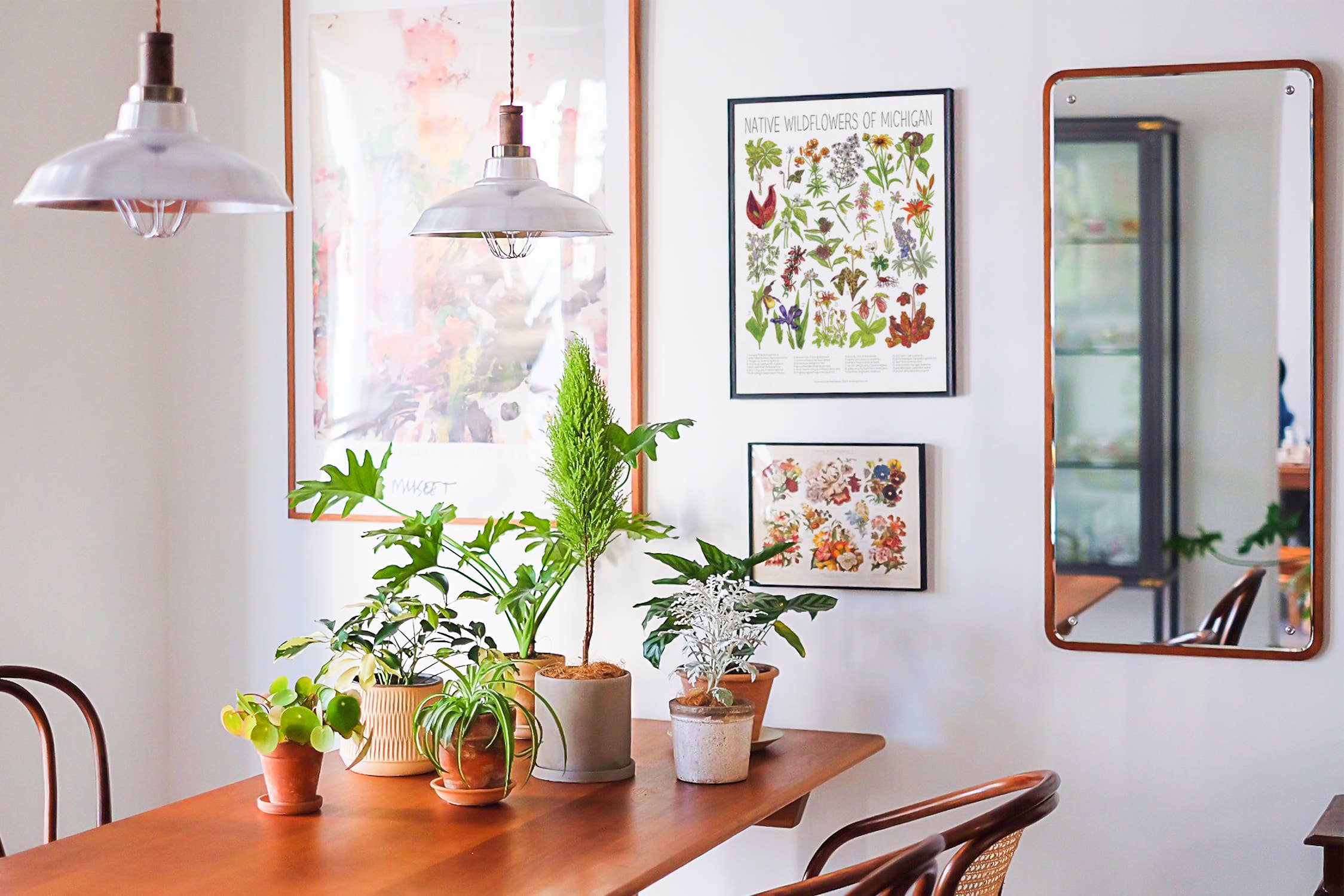 Wander & Gather - Wholesale Poster - Native Wildflowers of Michigan Poster 1