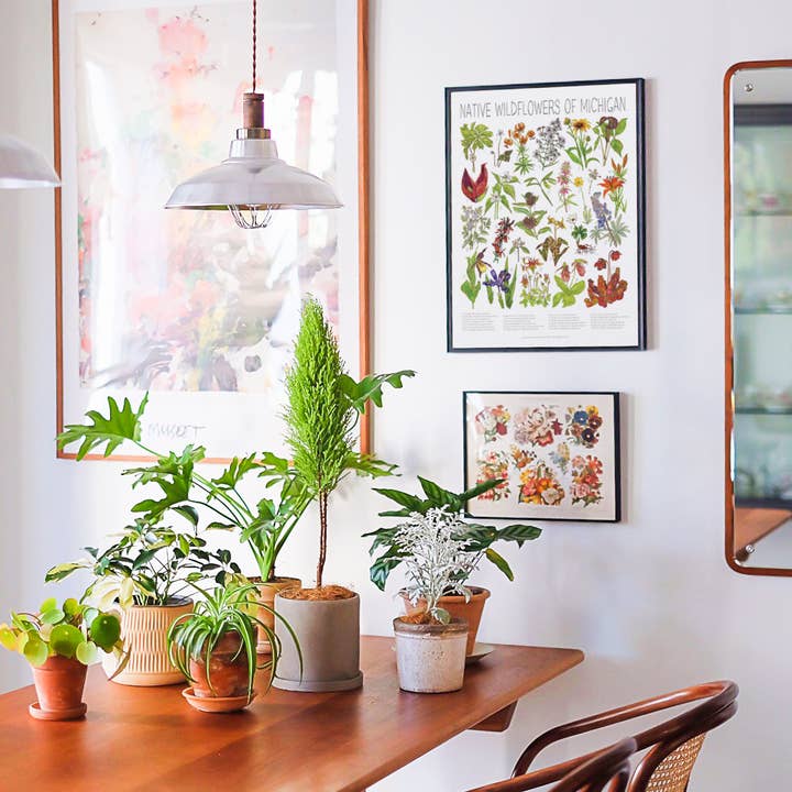 Wander & Gather - Wholesale Poster - Native Wildflowers of Michigan Poster 1