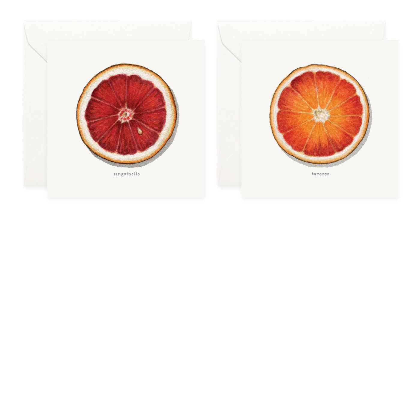 Yeesan Loh - Wholesale Stationery/Notecard Set - Box Set Cards / Fruit . Oranges4