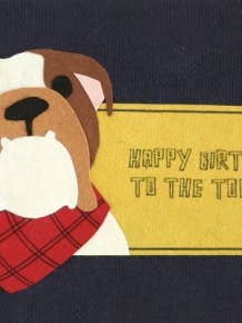 Top Dog Birthday for wholesale by Good Paper