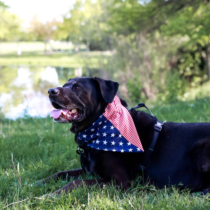 Top Rocks Doggie Wear – wholesale Pet bandana – Dog – American Flag Over The Collar Dog Bandana1