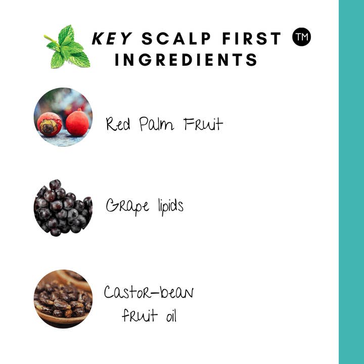 ROOT2TiP – wholesale Hair styling gel/mousse – Afro Hair Vegan Moisturising Creme- Quench Anti-breakage Creme1