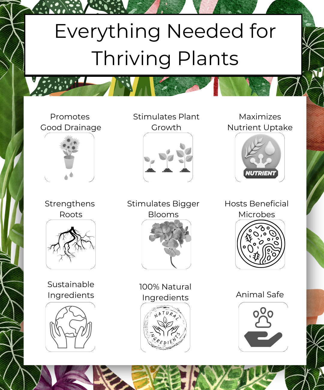 Happy Bunny Farms - Wholesale Planting/Potting Soil - Houseplant Premium Potting Soil, 4QT Bag4