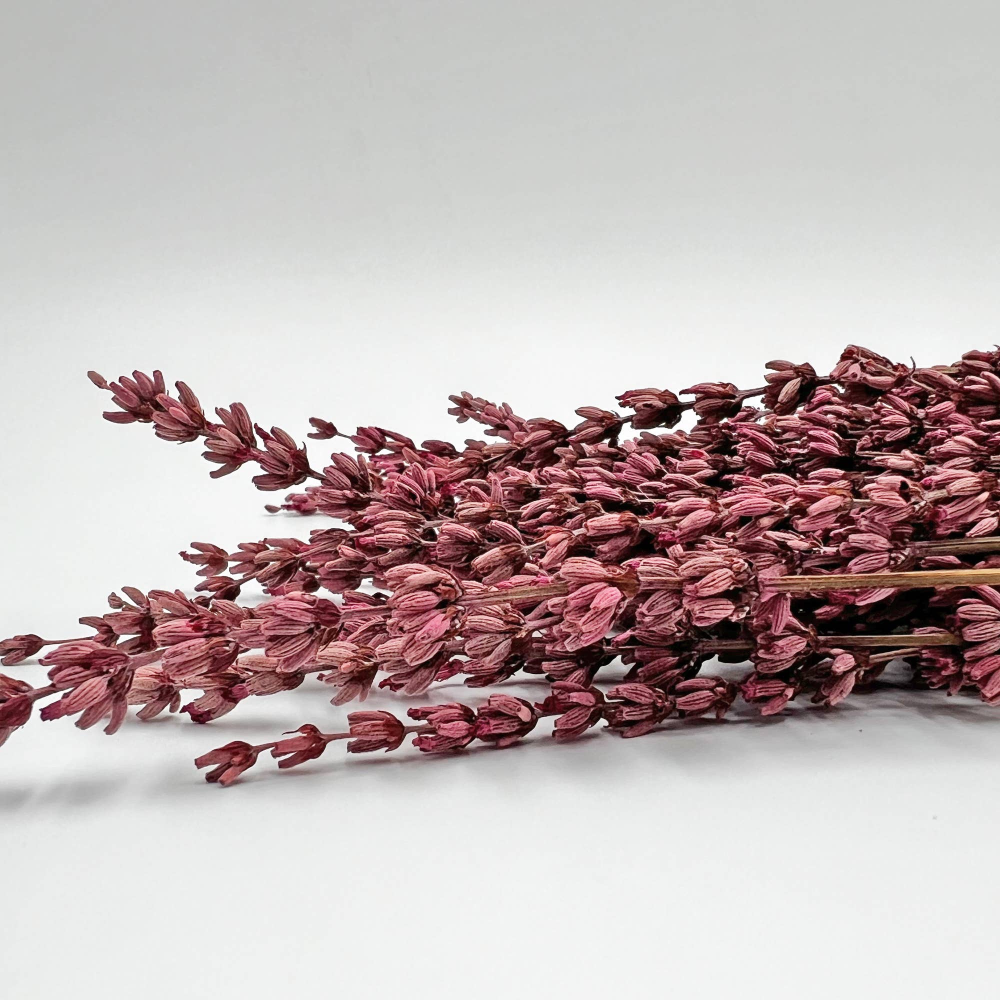 2626 Designs – Engroshandel Tørrede/pressede blomster – Tørrede konserverede lavendelbuketter, 53 cm, flere farver0