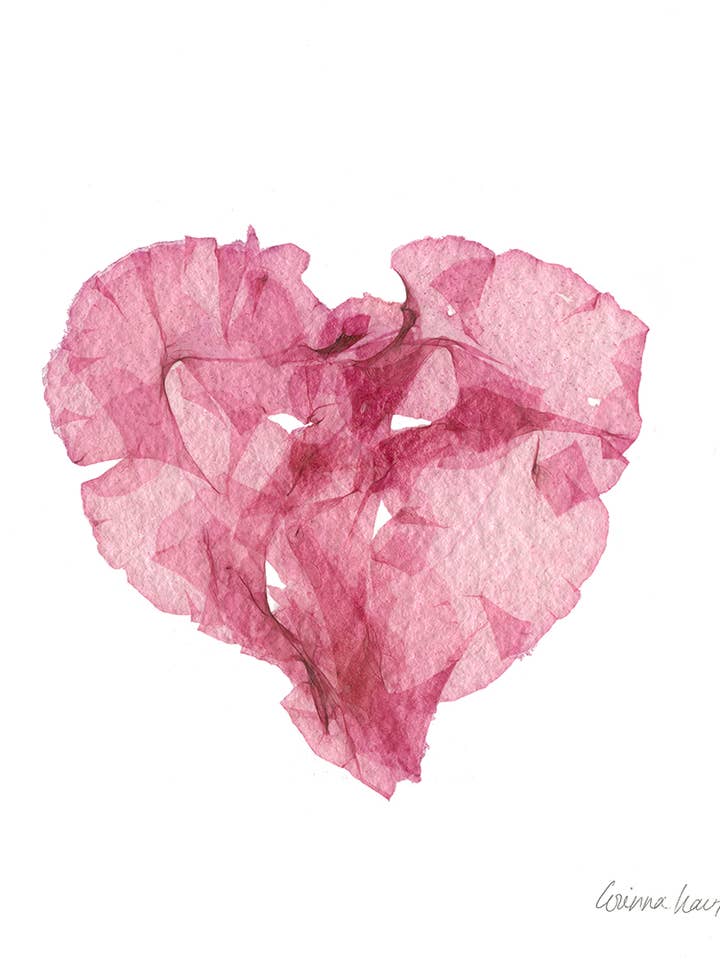 Pink Heart Seaweed Art Cartes de voeux 5x7 Design #52 pour la vente par Seaweed Artist