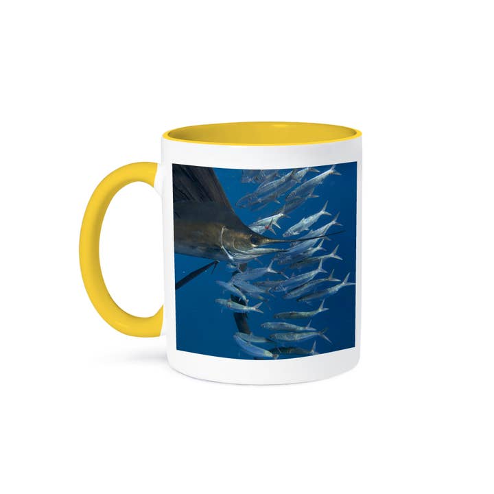 3dRose - Wholesale Coffee Mug - 3dRose, Indo-Pacific Sailfish and wounded sardines, Isla Mujeres, Mexico., Mug