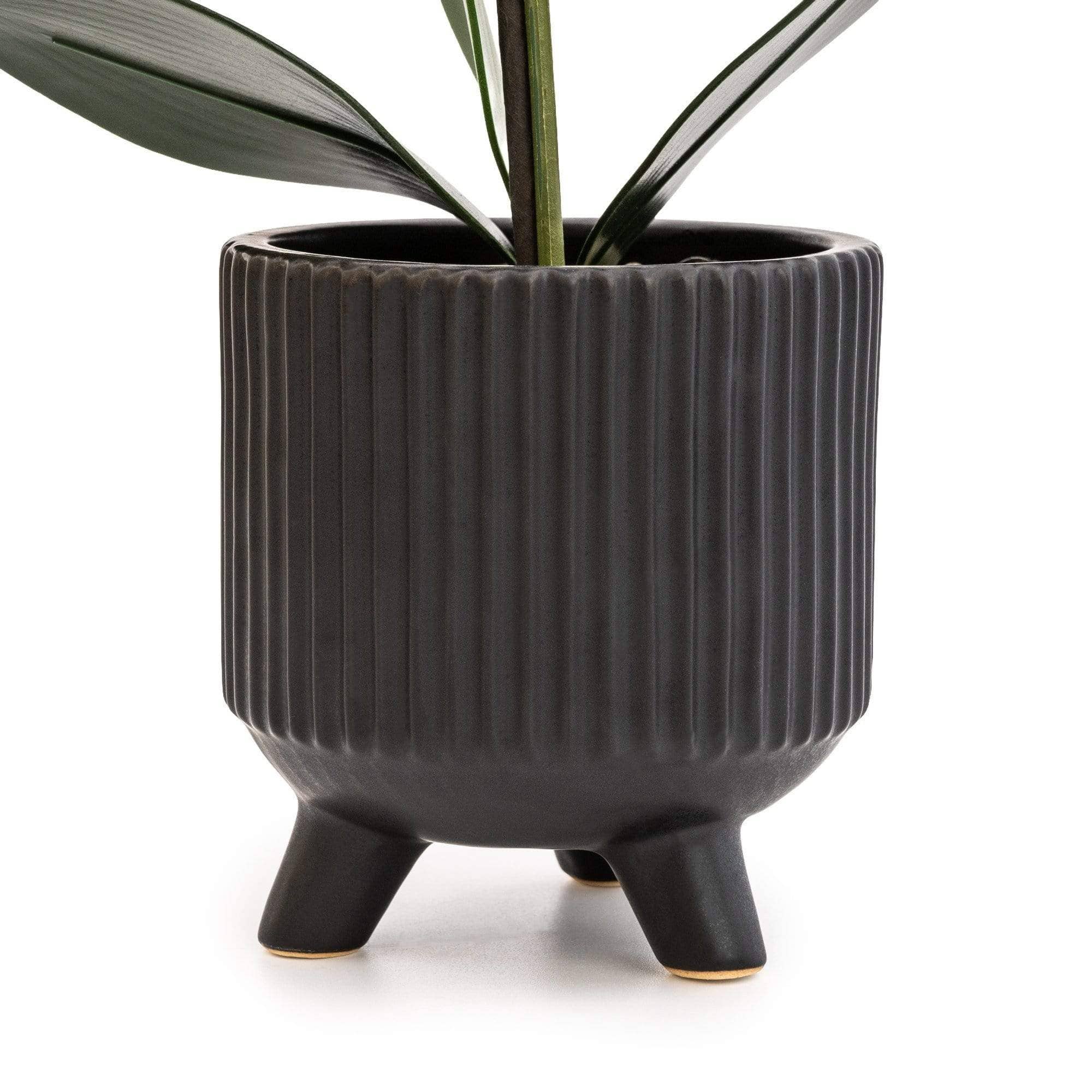 Candlelight Products Ltd – wholesale Artificial flowers – Black Orchid in Matte Black Ceramic Footed Pot 42cm 1PK2