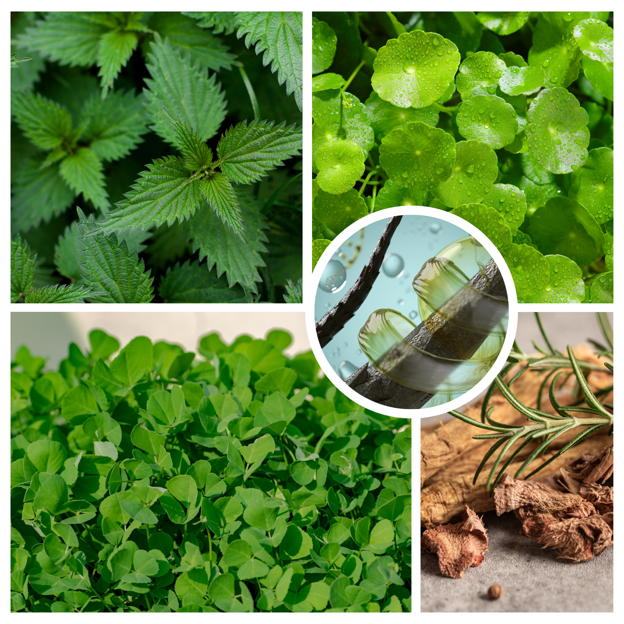 The Sacred Essence – Tratamento de couro cabeludo/cabelo por atacado – Máscara Ayurvédica GROW com Queratina para Crescimento e Reparação do Cabelo7