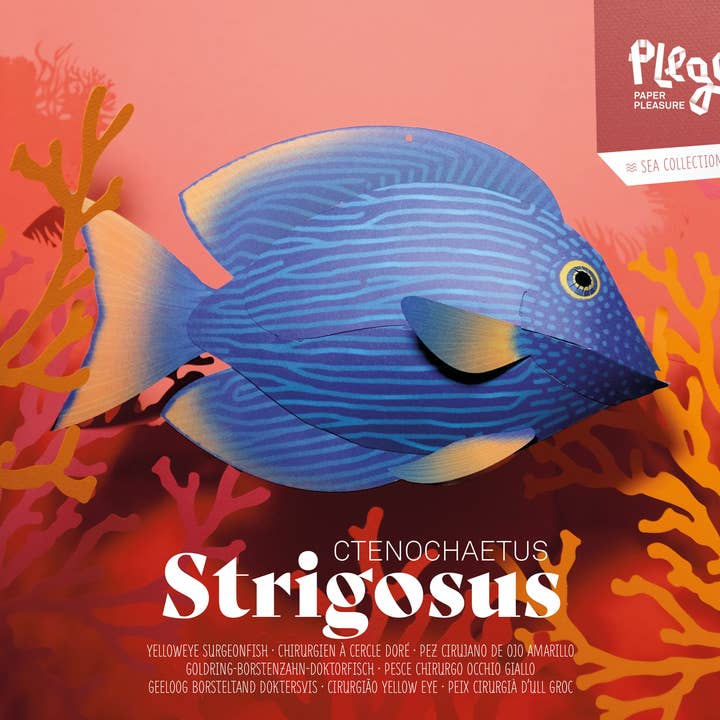 Surgeonfish - Fish 3D Paper Figure by Plego for wholesale by Today is Art Day