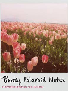 Pretty Polaroid Notes for wholesale by Chronicle Books