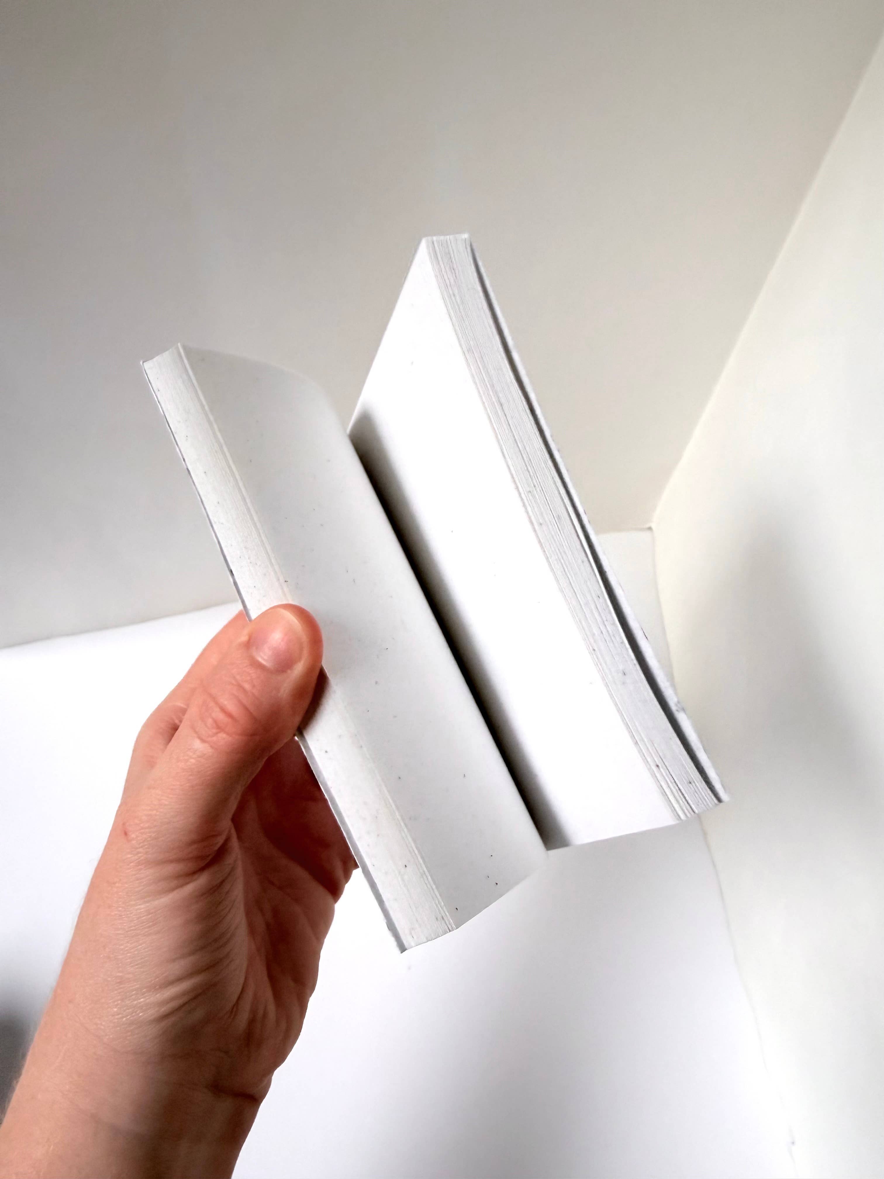 Atelier By Cat - Wholesale Notebook - mini Fern Paper Notebook Eco-Friendly, Goods, Plant Gifts25