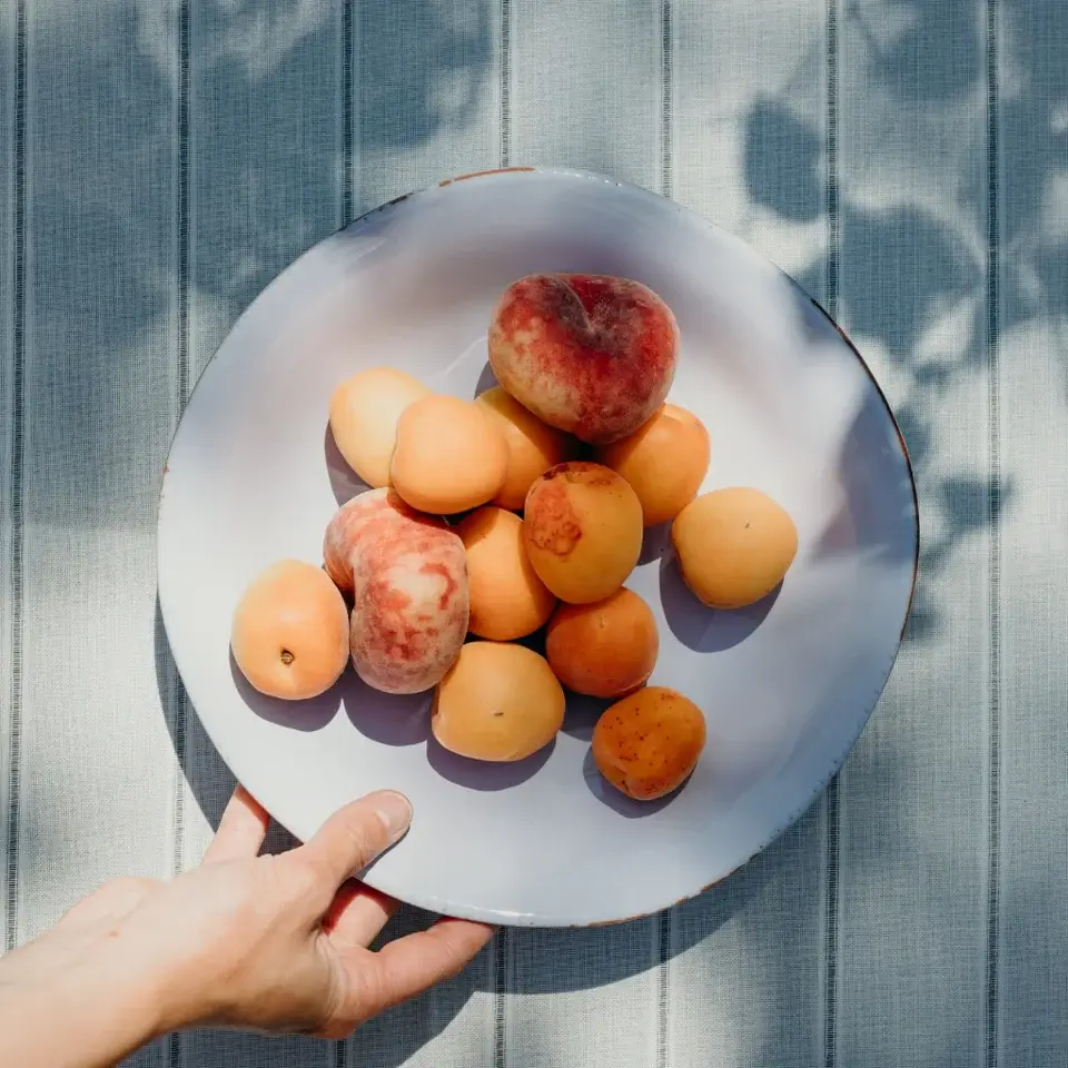 CASAgent - Wholesale Serving Plate - Pasta plate 257